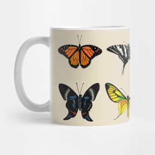 Four Butterfly Species Illustration Mug